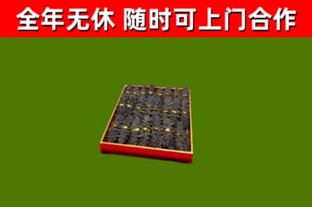 沙市回收海参
